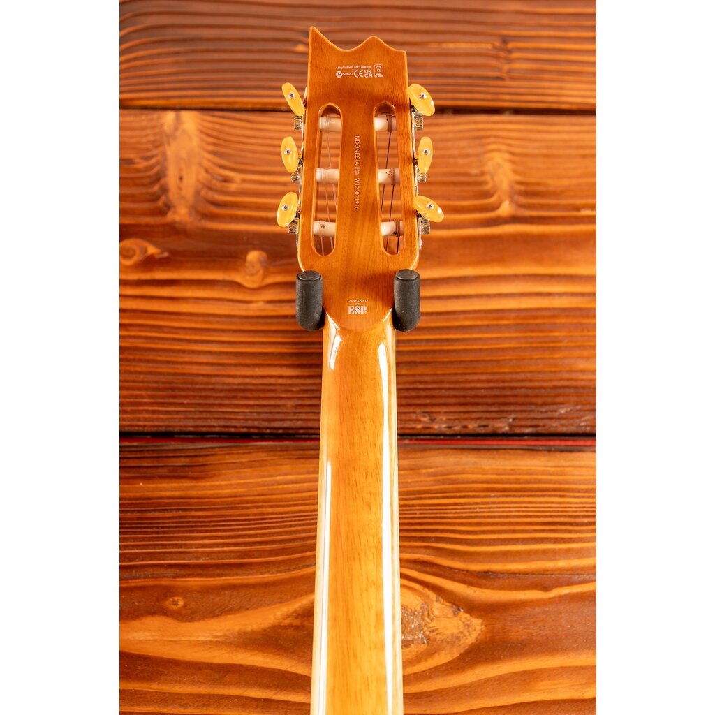 ESP/LTD LTD TL-6N Thinline Acoustic/Electric Guitar with Nylon Strings, Natural