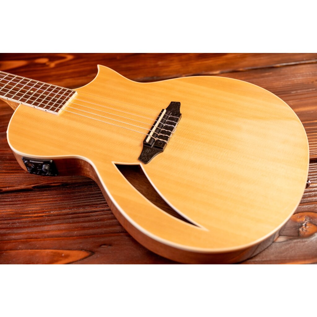 ESP/LTD LTD TL-6N Thinline Acoustic/Electric Guitar with Nylon Strings, Natural