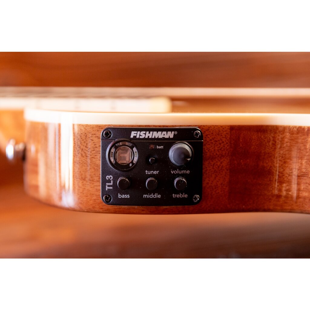 ESP/LTD LTD TL-6N Thinline Acoustic/Electric Guitar with Nylon Strings, Natural