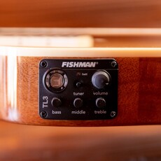 ESP/LTD LTD TL-6N Thinline Acoustic/Electric Guitar with Nylon Strings, Natural ESP/LTD LTD TL-6N Thinline Acoustic/Electric Guitar with Nylon Strings, Natural