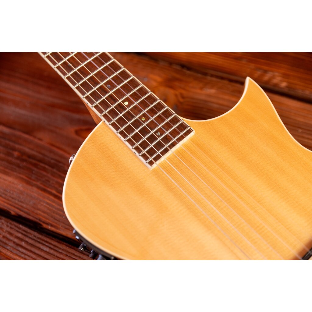 ESP/LTD LTD TL-6N Thinline Acoustic/Electric Guitar with Nylon Strings, Natural