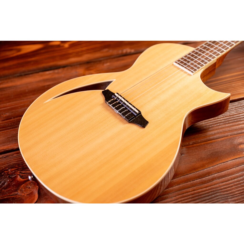 ESP/LTD LTD TL-6N Thinline Acoustic/Electric Guitar with Nylon Strings, Natural