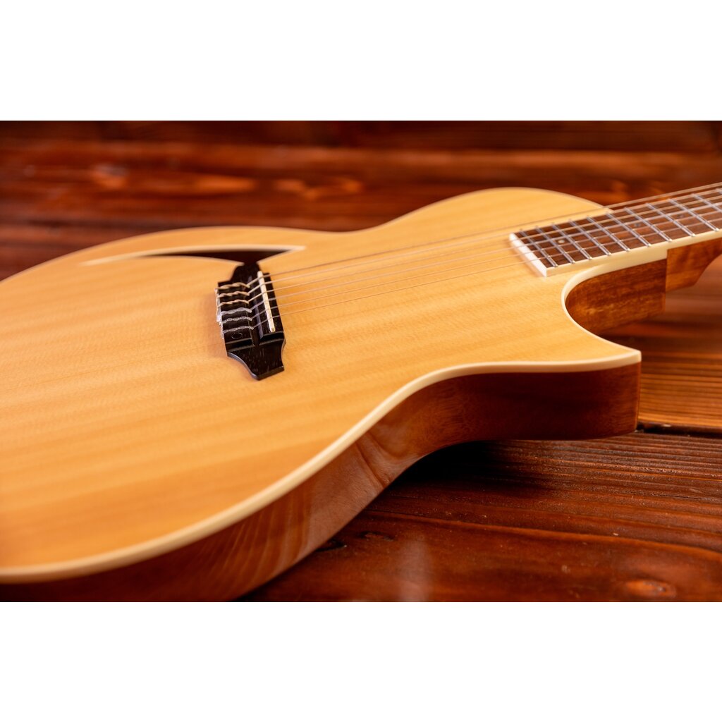 ESP/LTD LTD TL-6N Thinline Acoustic/Electric Guitar with Nylon Strings, Natural