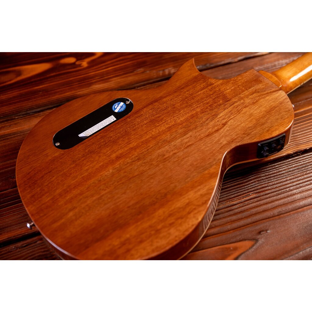 ESP/LTD LTD TL-6N Thinline Acoustic/Electric Guitar with Nylon Strings, Natural