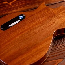 ESP/LTD LTD TL-6N Thinline Acoustic/Electric Guitar with Nylon Strings, Natural ESP/LTD LTD TL-6N Thinline Acoustic/Electric Guitar with Nylon Strings, Natural