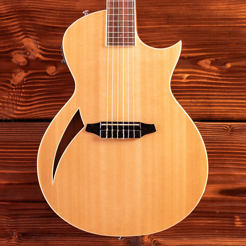 ESP/LTD LTD TL-6N Thinline Acoustic/Electric Guitar with Nylon Strings, Natural