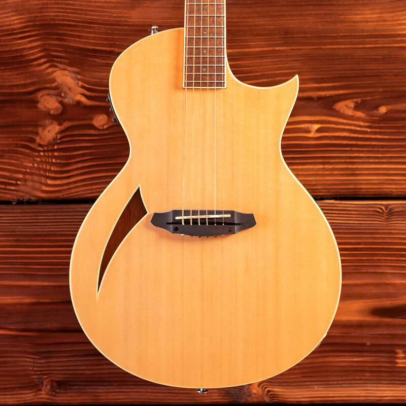 ESP/LTD LTD TL-6 Thinline Acoustic/Electric Guitar, Natural