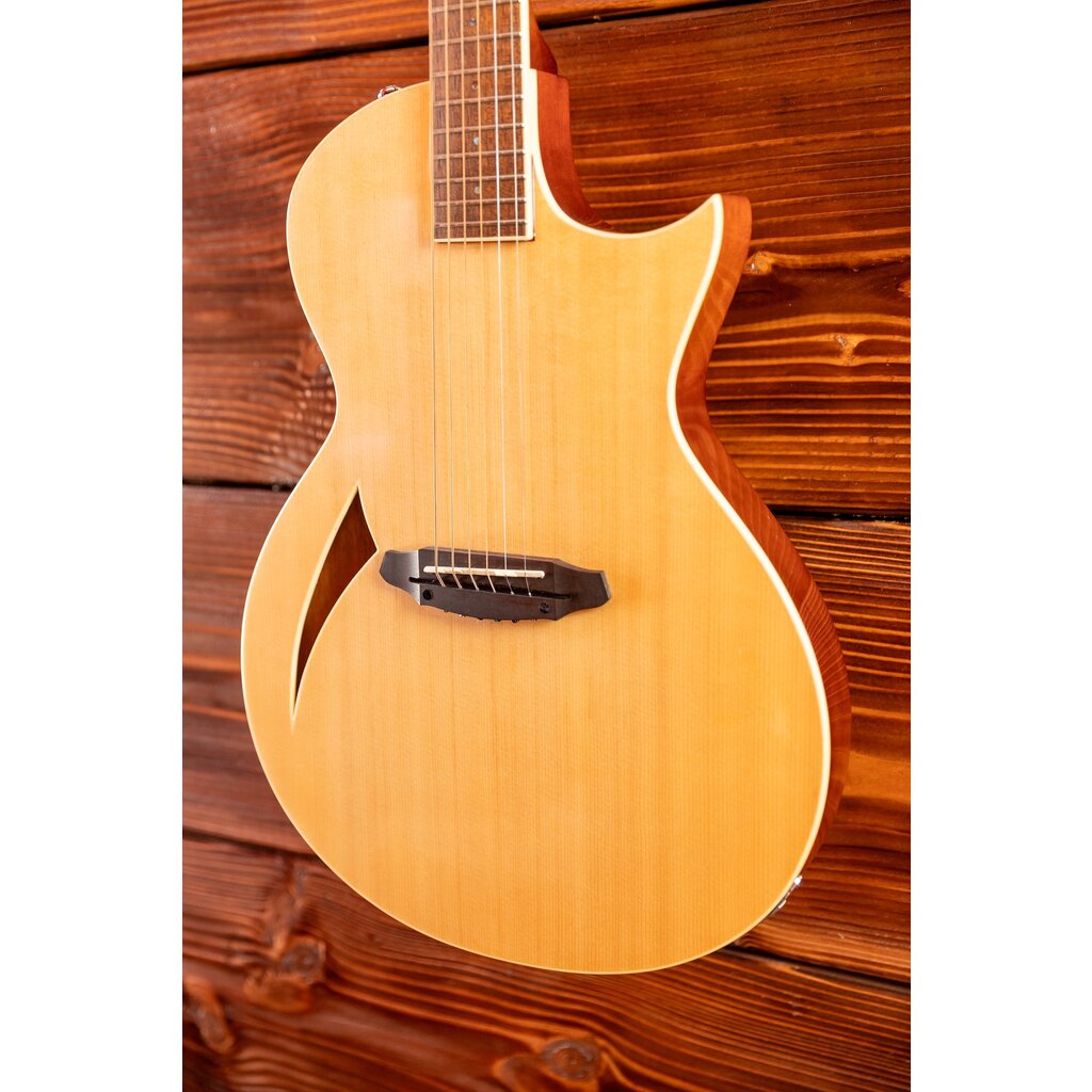 ESP/LTD LTD TL-6 Thinline Acoustic/Electric Guitar, Natural