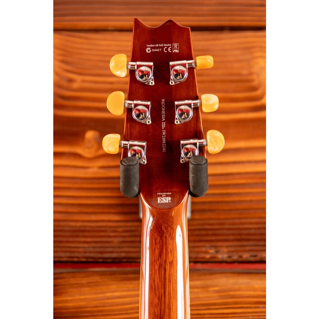 ESP/LTD LTD TL-6 Thinline Acoustic/Electric Guitar, Natural