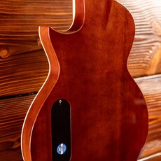 ESP/LTD LTD TL-6 Thinline Acoustic/Electric Guitar, Natural ESP/LTD LTD TL-6 Thinline Acoustic/Electric Guitar, Natural