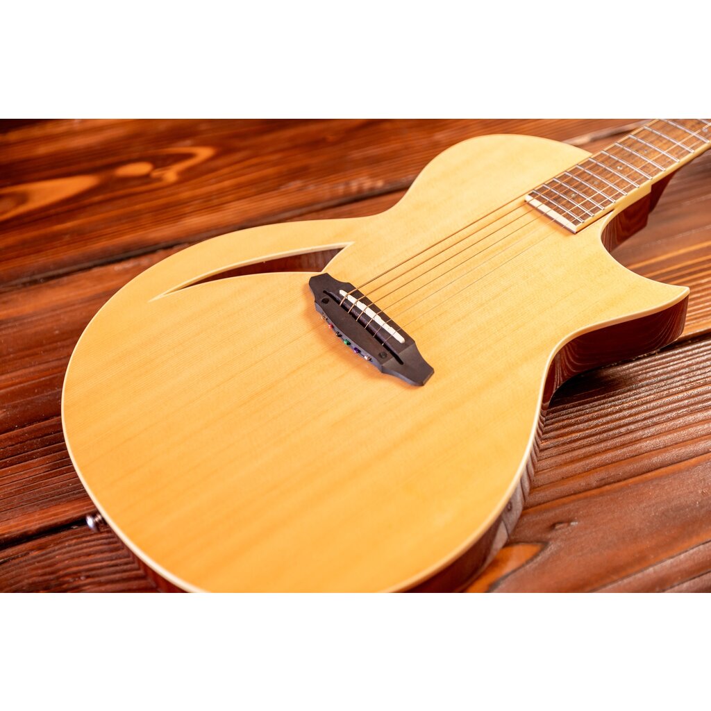 ESP/LTD LTD TL-6 Thinline Acoustic/Electric Guitar, Natural