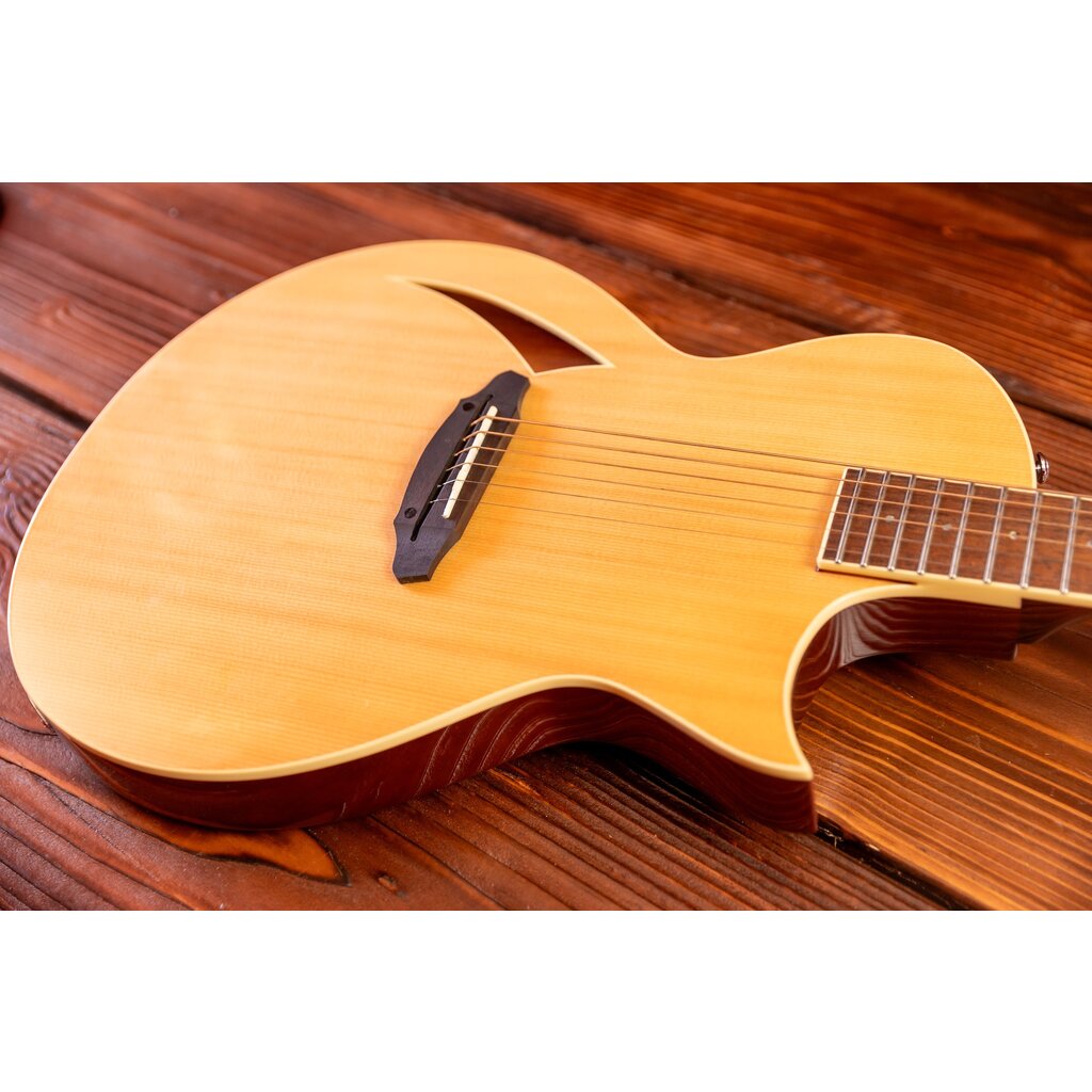 ESP/LTD LTD TL-6 Thinline Acoustic/Electric Guitar, Natural