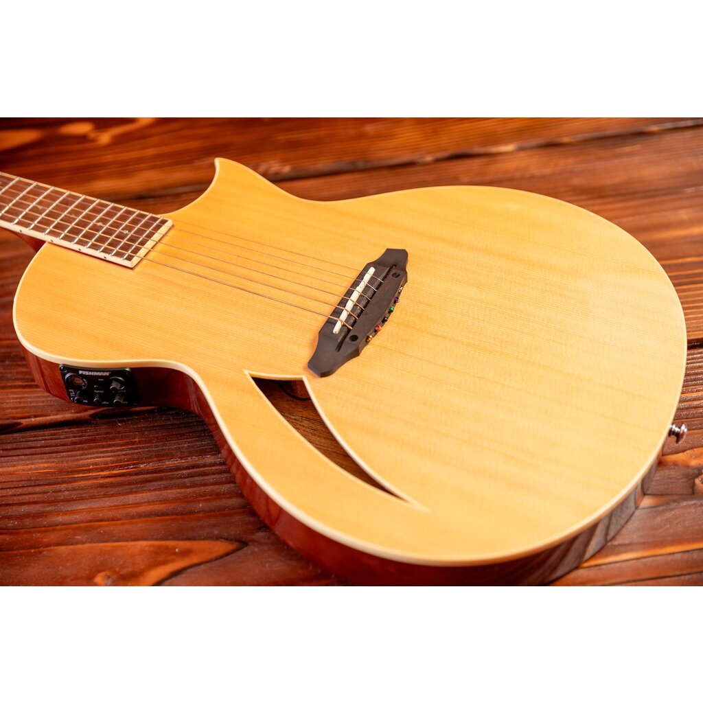 ESP/LTD LTD TL-6 Thinline Acoustic/Electric Guitar, Natural