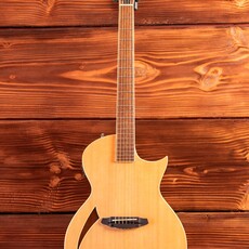 ESP/LTD LTD TL-6 Thinline Acoustic/Electric Guitar, Natural ESP/LTD LTD TL-6 Thinline Acoustic/Electric Guitar, Natural