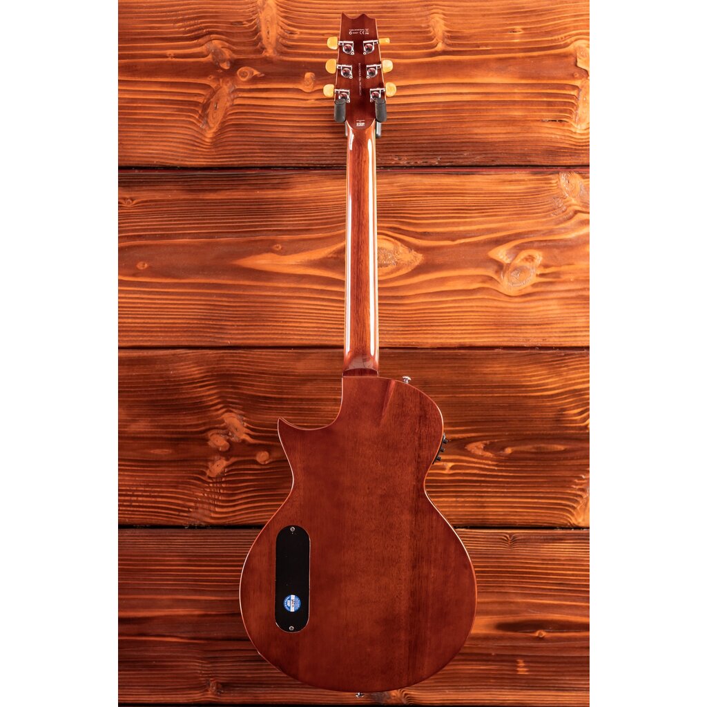 ESP/LTD LTD TL-6 Thinline Acoustic/Electric Guitar, Natural