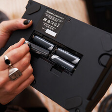Boss Boss VE-22 Vocal Performer
