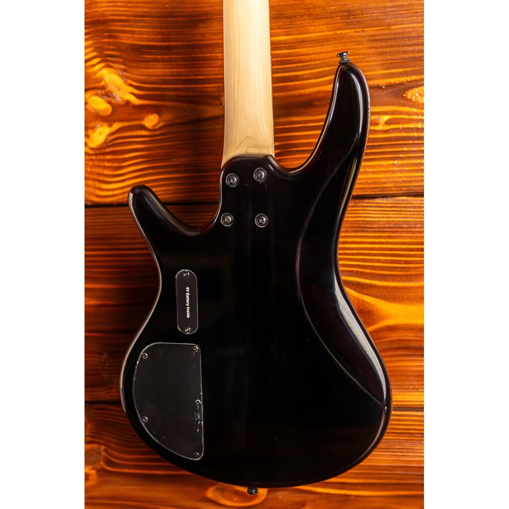 Ibanez Ibanez Gio SR200SM Electric Bass Guitar, Natural Gray Burst