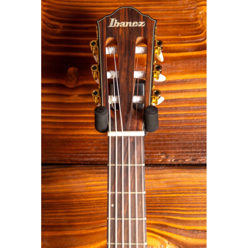 Ibanez Ibanez FRH10N Thinline Nylon Acoustic-Electric Guitar, Brown Sunburst Flat