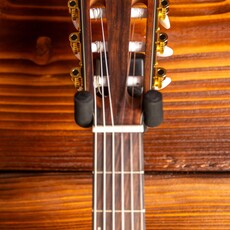 Ibanez Ibanez FRH10N Thinline Nylon Acoustic-Electric Guitar, Brown Sunburst Flat