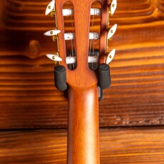 Ibanez Ibanez FRH10N Thinline Nylon Acoustic-Electric Guitar, Brown Sunburst Flat