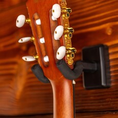 Ibanez Ibanez FRH10N Thinline Nylon Acoustic-Electric Guitar, Brown Sunburst Flat