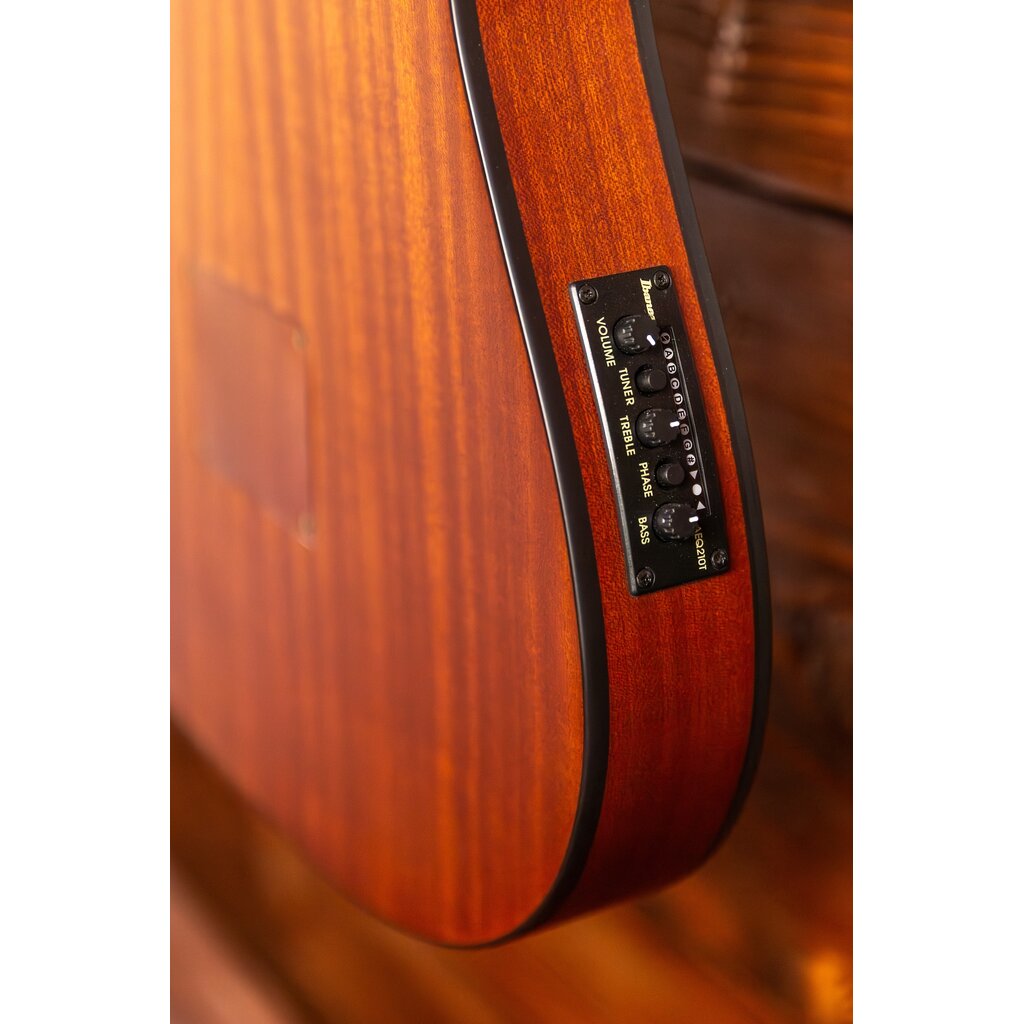 Ibanez Ibanez FRH10N Thinline Nylon Acoustic-Electric Guitar, Brown Sunburst Flat