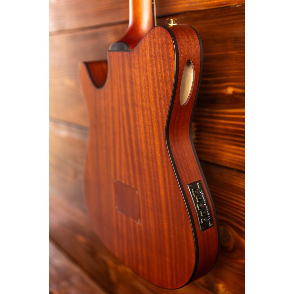 Ibanez Ibanez FRH10N Thinline Nylon Acoustic-Electric Guitar, Brown Sunburst Flat