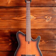 Ibanez Ibanez FRH10N Thinline Nylon Acoustic-Electric Guitar, Brown Sunburst Flat
