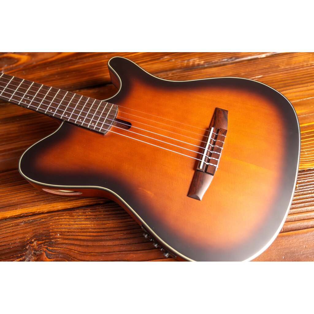 Ibanez Ibanez FRH10N Thinline Nylon Acoustic-Electric Guitar, Brown Sunburst Flat