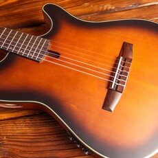 Ibanez Ibanez FRH10N Thinline Nylon Acoustic-Electric Guitar, Brown Sunburst Flat