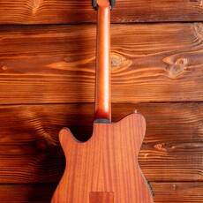 Ibanez Ibanez FRH10N Thinline Nylon Acoustic-Electric Guitar, Brown Sunburst Flat