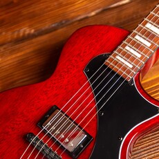 ESP/LTD LTD EC-201 Flat Top Electric Guitar, See Thru Black Cherry