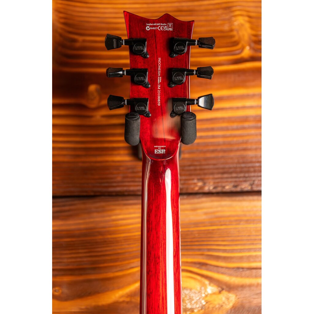 ESP/LTD LTD EC-201 Flat Top Electric Guitar, See Thru Black Cherry