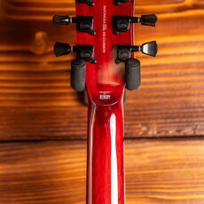 ESP/LTD LTD EC-201 Flat Top Electric Guitar, See Thru Black Cherry