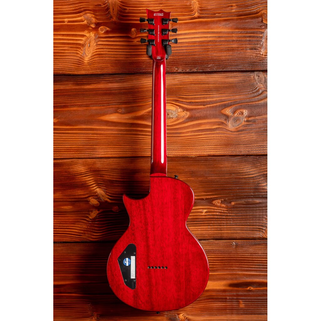 ESP/LTD LTD EC-201 Flat Top Electric Guitar, See Thru Black Cherry