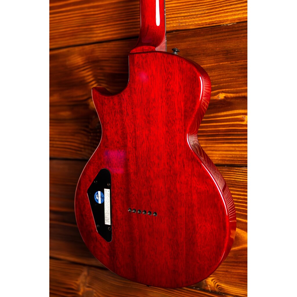 ESP/LTD LTD EC-201 Flat Top Electric Guitar, See Thru Black Cherry