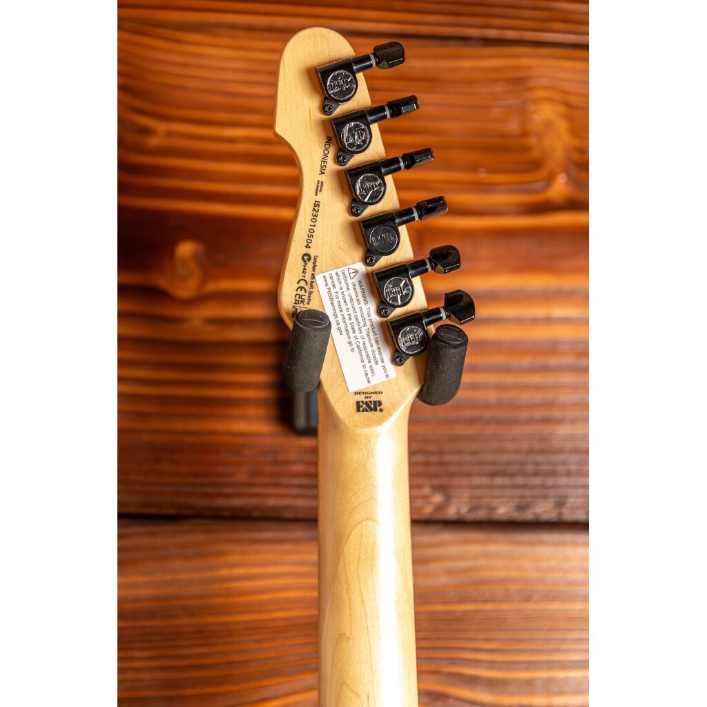 ESP/LTD LTD SN-200HT Electric Guitar, Dark Metallic Purple Satin