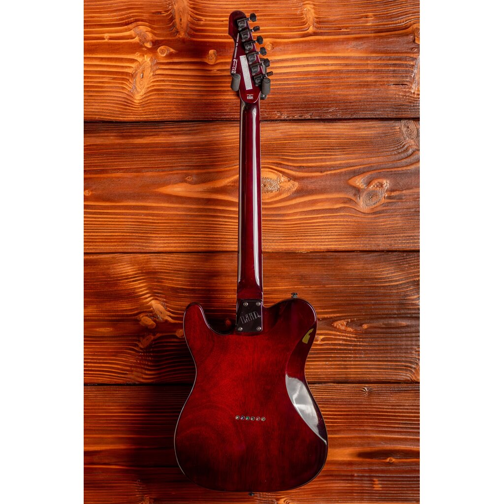 ESP/LTD LTD TE-200 Electric Guitar, Tobacco Sunburst