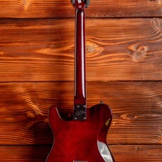 ESP/LTD LTD TE-200 Electric Guitar, Tobacco Sunburst