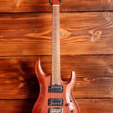 Aria Aria Pro II MAC DLX Electric Guitar, Brown