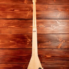 Warwick Used Warwick Triumph Electric Standup Bass (Including Gig Bag)