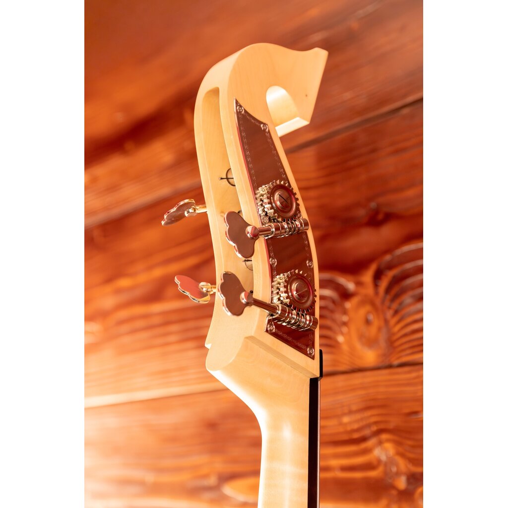 Warwick Used Warwick Triumph Electric Standup Bass (Including Gig Bag)