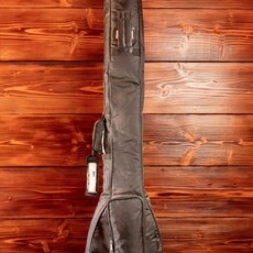 Warwick Used Warwick Triumph Electric Standup Bass (Including Gig Bag)