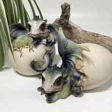 Baby Dragon in  Egg