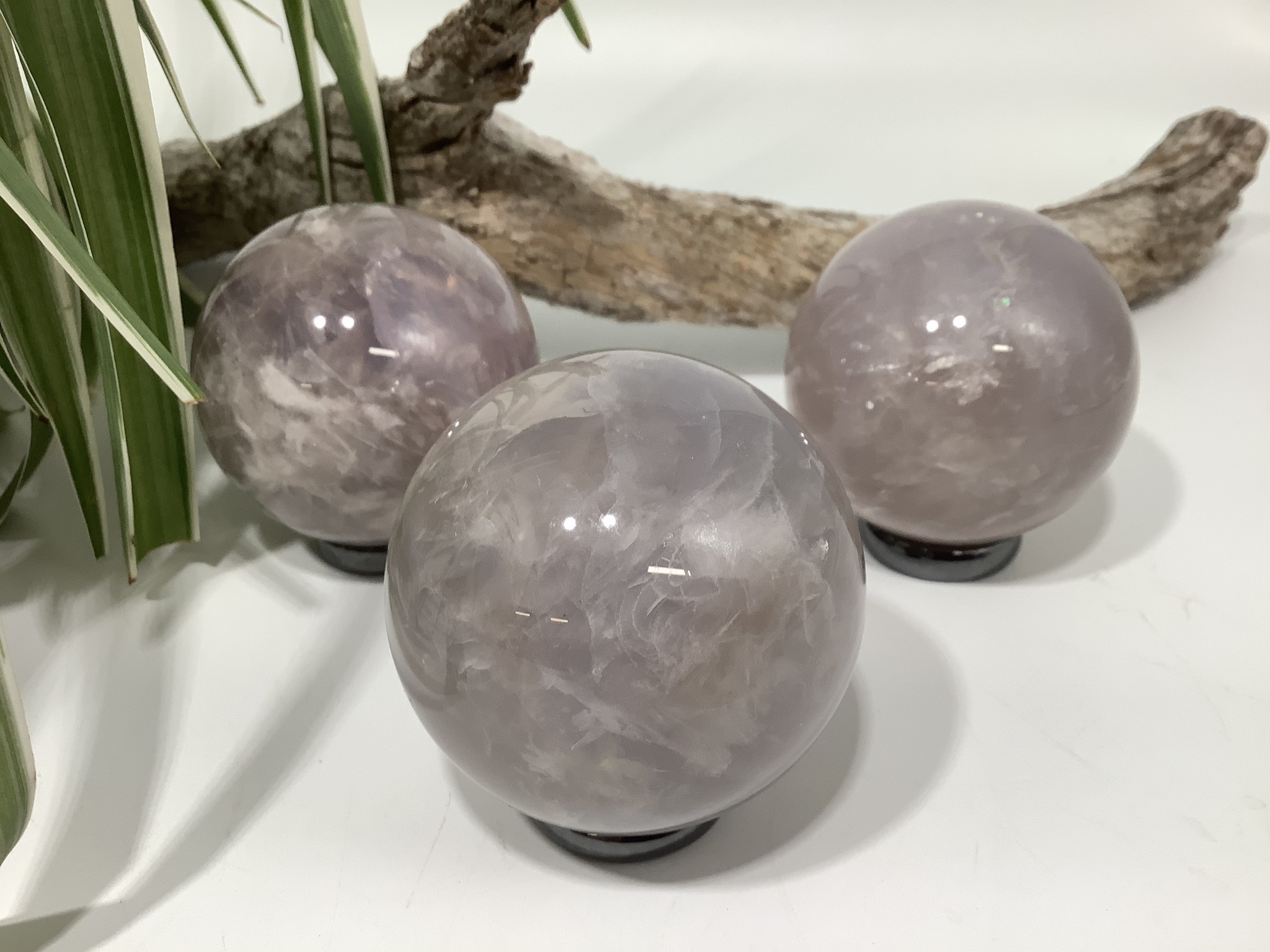 Lavender 2024 rose quartz