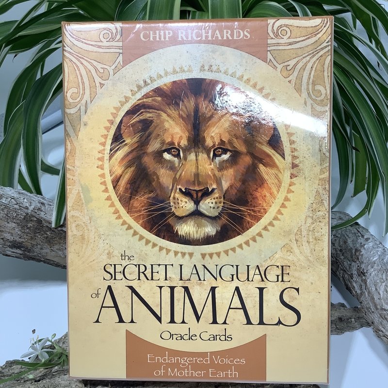 The Secret Language of Animals Oracle Cards
