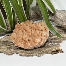 Dogtooth Calcite Cluster