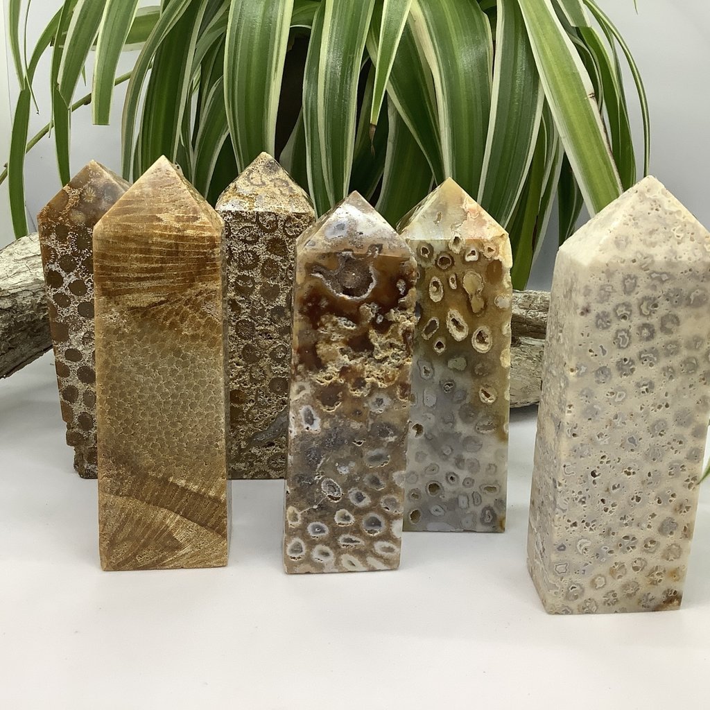 Fossil Coral Jasper Tower