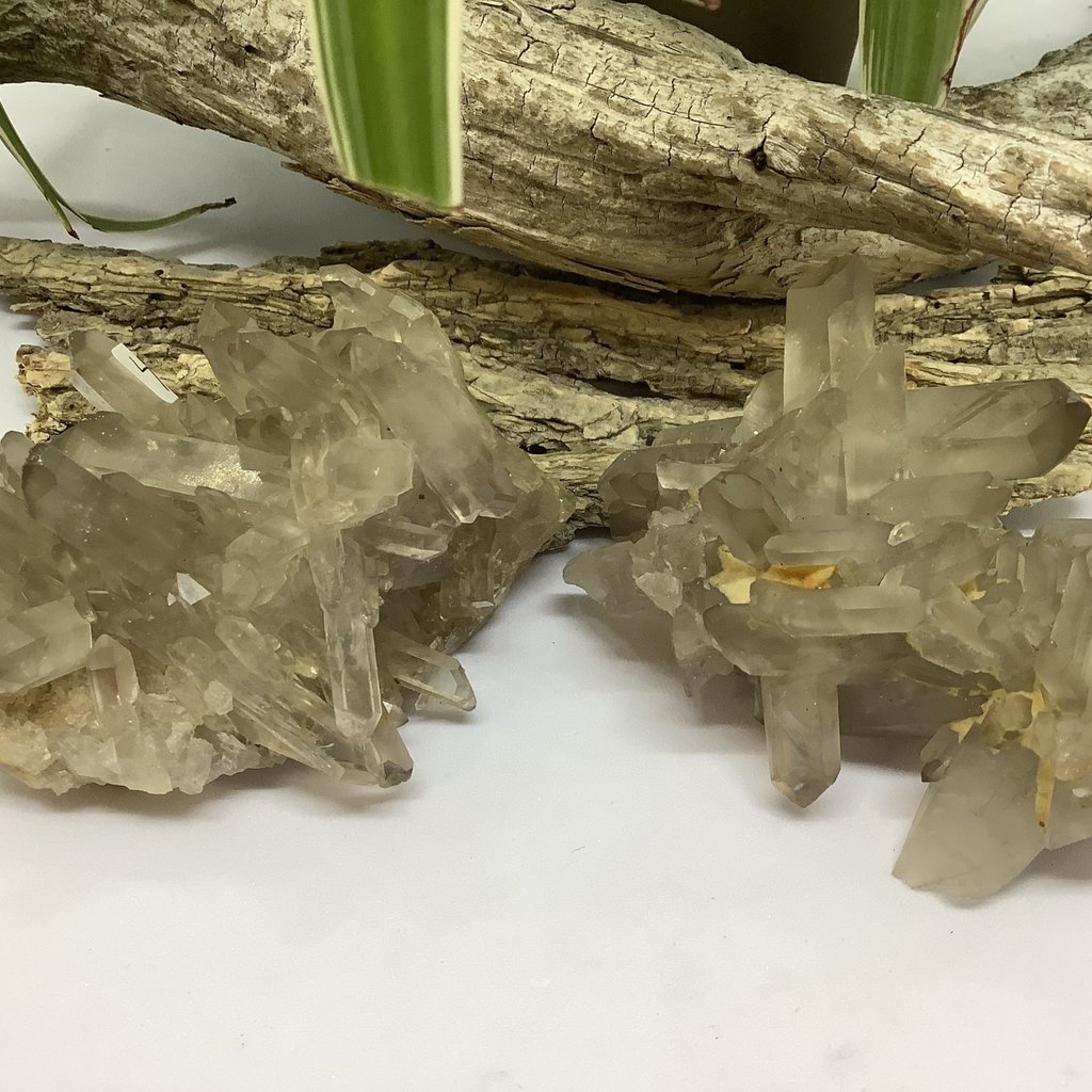 Smoky Quartz Cluster