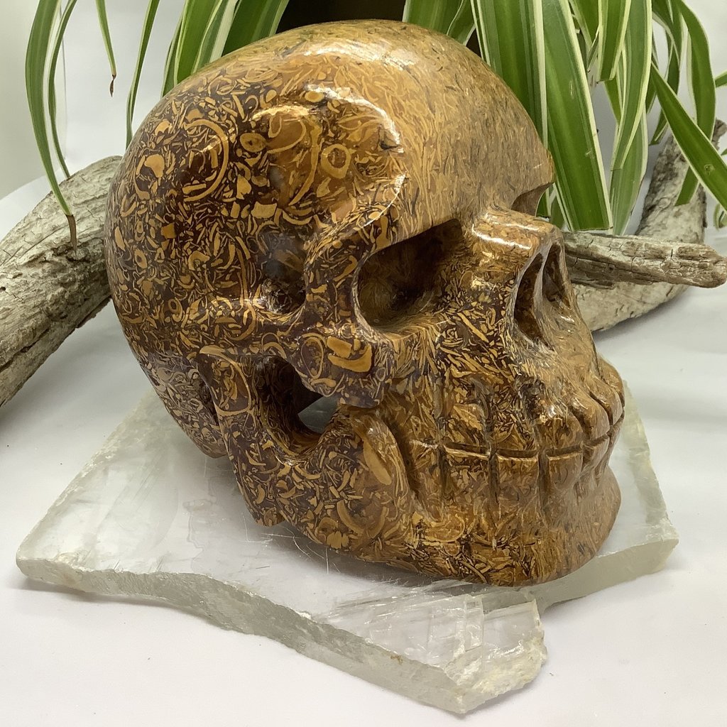 Sanskrit Jasper Skull